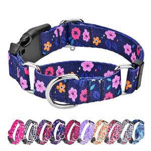 lot 1040 image: Martingale Collar for Dogs, Adjustable Soft Nylon Dog Collars with Special Design Cute Patterns for Small Medium Large Dog - Retail $13