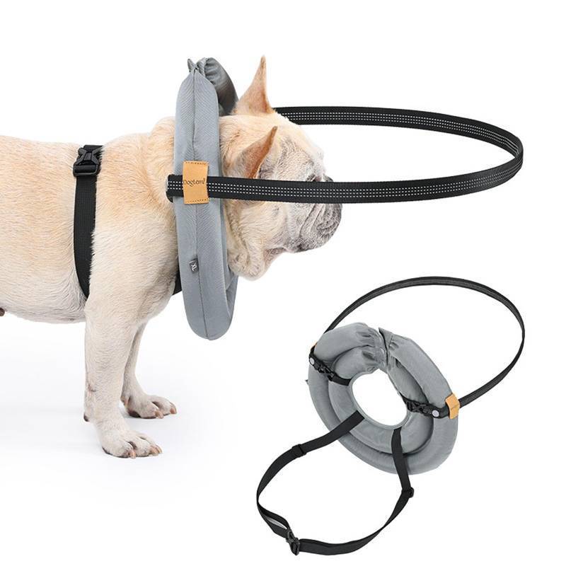 lot 2036 image: Junchl Small Dog Blind Dog Harness Guiding Device, Lightweight Collar for Blind Cat Small Dog, Adjustable Blind Cat Accessories, Pet Anti-Collision Ring Collar for Protective & Build Confidence S - Retail $25