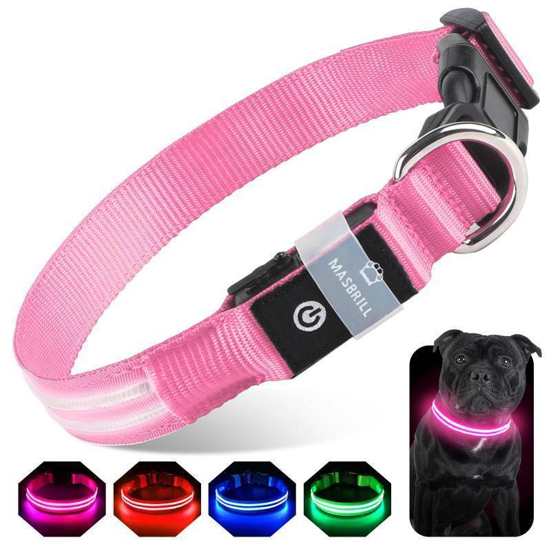 lot 2095 image: LED Dog Collar for Night Walking, Rechargeable yellow to SM&nbsp