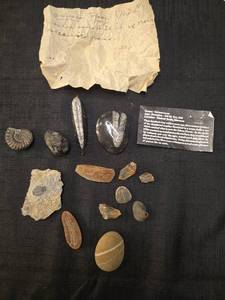 lot 5044 image: Fossil Collection with Ammonites, Trilobites and Orthoceras Specimens