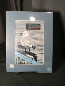 lot 4907 image: Accent Mats Americana Collection Seagull Picture Mat Williamsburg Blue