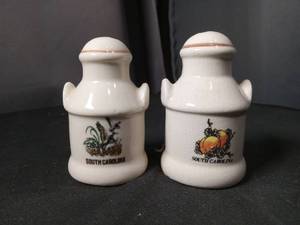 lot 40912 image: South Carolina Souvenir Salt and Pepper Shakers Set
