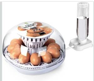 lot 9006 image: Series I - 12 Egg Incubator for Beginners, Auto Egg Turn, Steady Self-Regulating Humidity & Consistent Temperature Control for Hatching Chicken, Goose, Duck, Quail, Pigeon, and Turkeys