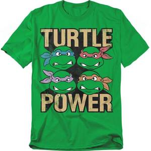 lot 4743 image: Popfunk Classic TMNT Teenage Mutant Ninja Turtles Turtle Power Unisex Adult T Shirt, Kelly Green, Large - Retail $18