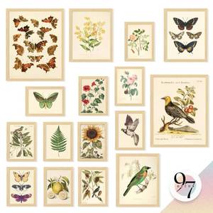 lot 61821 image: 97 Decor FRAMED Vintage Botanical Wall Art Decor - Large Plant Posters For Room Aesthetic, Vintage Botanical Prints Nature Wall Decor, Floral Pictures Butterfly Bird Art For Home Bedroom (BEIGE FRAME) - Retail $90
