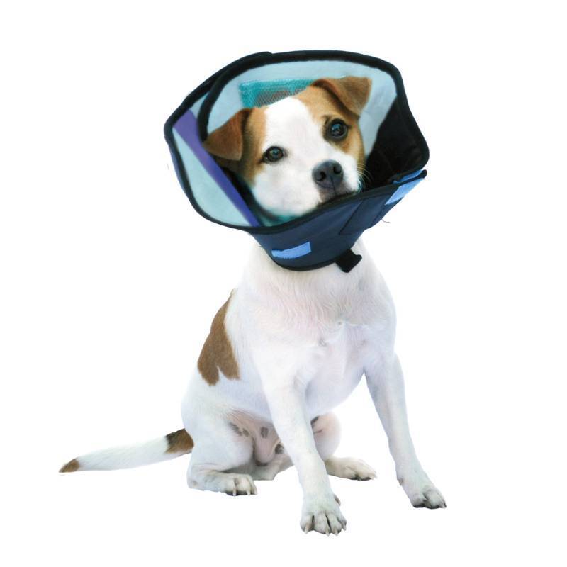 lot 4019 image: Calm Paws CM27881 Dog Caring Collar - Small - Retail $46
