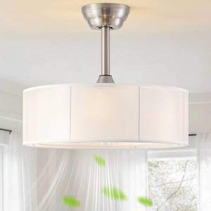 lot 4243 image: CoetuRuis 20 Caged Fandelier Ceiling Fans with Lights, Silver Boho Chandelier Ceiling Fan with Light Remote Control with 6 Speeds for Bedroom, Living Room, Nursery - Retail $135
