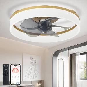 lot 1040 image: DLLT LED Ceiling Fan with Light 16 Modern Low Profile Flush Mount Fandelier with App & Remote Control - Dimmable Gold Bladeless Fan Light Fixture for Bedroom Kids Room Living Room - Retail $60
