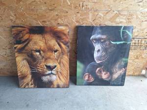 lot 77 image: Planet Earth  Lion and Monkey Set