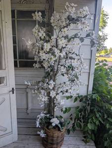 lot 1004 image: Large Artificial White Dogwood Tree in Wicker Basket - 7ft