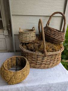 lot 1511 image: Natural Wicker Basket Collection with Moss Planters - 4 ct