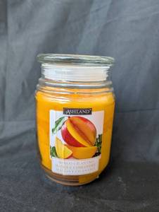 lot 2028 image: Ashland Mango Cilantro Scented Jar Candle 17oz
