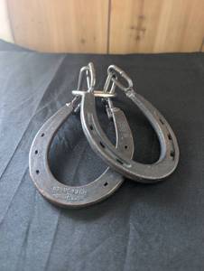 lot 3033 image: Cast Iron Horseshoes with Chain Link
