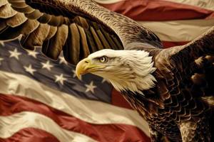 lot 02 image: All Star Auctions Honors ALL Military Men and Women that gave the biggest sacrifice for our country