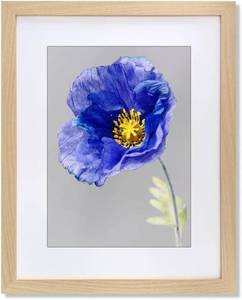 lot 5325 image: VNVNK 17x22 Frame Natural Wood for 17x22 or 12x18 with mat