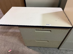 lot 258 image: FILE CABINET WITH TOP