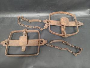 lot 316 image: Antique Beaver and Otter Traps