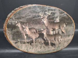 lot 468 image: Deer Family Wood Slice Wall Art, 16 x 12