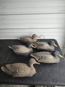 lot 605 image: Duck Decoys, Very Good Condition