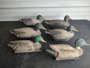lot 606 image: Duck Decoys, Very Good Condition