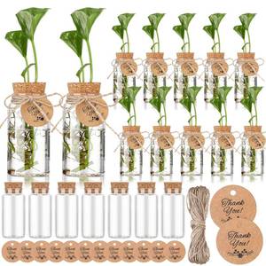 lot 9081 image: Baderke 24 Pack 3.54ftft Plastic Plant Propagation Stations with Hole Lid 4oz Planter Vase Clear Propagation Jars with Thank You Tags for Plant Lover Gifts for Women Office Home Garden(24 Pack)