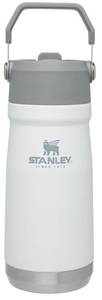 lot 10127 image: STANLEY IceFlow Flip Straw Water Bottle 17 oz  Built-In Straw for Travel and Sports  Lightweight and Leak Resistant  Insulated Stainless Steel  BPA-Free  Polar