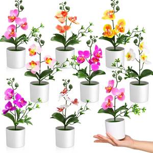 lot 11481 image: Thiccywoov 8 Pack Artificial Orchid Flowers Mini Potted Orchids Fake Orchids with Plastic Vase for Table Centerpiece Home Office Wedding Desktop Decoration (8 Colors)