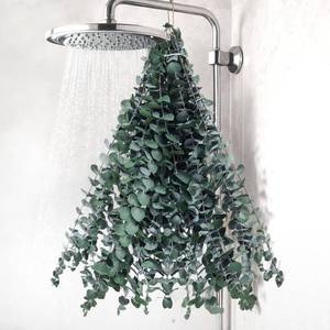 lot 20486 image: DomeStar 16PCS Real Dried Eucalyptus for Shower, 16in-17in Natural Eucalyptus Stems Hanging Shower Plant Stress Relax and DIY Greenery for Bathroom Home Decor