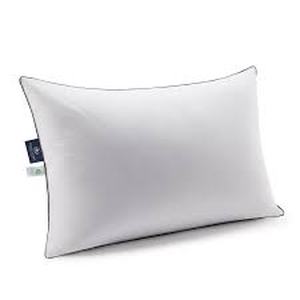 lot 1968 image: Pacific Coast feather company pillows since 1884