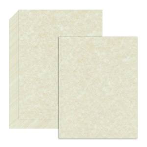 lot 4256 image: 120 Sheets Parchment Paper for Certificates, 8.5 x 11, 100 GSM Double-Sided Stationery Paper for Resumes & Diplomas, Printer-Friendly (Ivory)