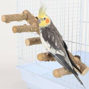 lot 6077 image: Bolagar Bird Parrot Ladder Perch for Cage, Nature Wooden Bird Bridge Exercise Stands Parrot Climbing Chewing Toys for Small Animal