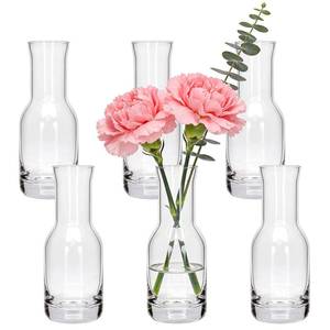 lot 9103 image: 6 Inch Small Clear Glass Flower Vase, 6 Pack Ins Modern Boho Style Bud Vase for Table Centerpiece, Home Desk Decor, Wedding & Housewarming Gift