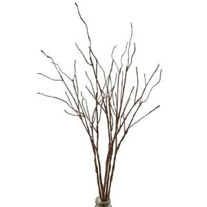 lot 10236 image: Bakoukiter 5PCS Artificial Lifelike Curly Willow Branches Decorative Dried Birch Twigs 25.9 Inch Fake Bendable Sticks Stems for Craft Vases Home Wedding Decor