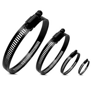 lot 10242 image: BOTTEN 16pcs 4 Sizes Hose Clamp,916-4 Inch(14-102mm) Hose Clamps Stainless Steel Adjustable Worm Gear Black Hose Clamp Assortment Kit,radiator hose clamps, fuel line clamps