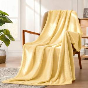 lot 12160 image: Excervent Soft Brushed Flannel Throw Blanket Light Yellow Fleece Blankets Chevron Pattern for Sofa, Chair, Couch - Fluffy Warm Cozy Light Green Blanket (40x50 inches) for Kids