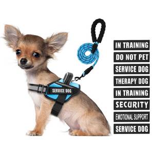 lot 12178 image: Service Dog Vest Harness and Leash Set, Animire in Training Dog Harness with 10 Dog Patches, Reflective Dog Leash with Soft Padded Handle for Small, Medium, Large, and Extra-Large Dogs (Light Blue,S) (Only Leash No Harness)