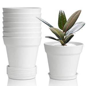 lot 16417 image: T4U 4 Inch Plant Pots 8-Pack, Small Flower Pots with Drainage Hole and Saucer, Decorative Nursery Pot Bulk for African Violet, Snake Plant, Succulent, Herb and Plants Indoor (8 Pcs 4 Pots, White)