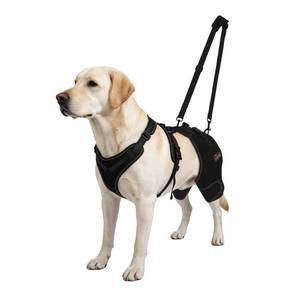 lot 18411 image: LISPOO Dog Hip Support Brace - Adjustable Dog Leg Brace for Hip DysplasiaArthritisPain Relief, Warm & Breathable Luxating Patella Stabilizer, Post-Surgery Recovery(Size XXL)