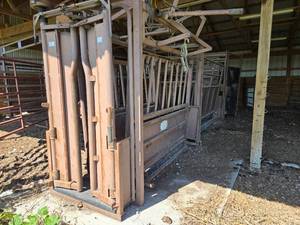lot 10329 image: Cattle working Chute