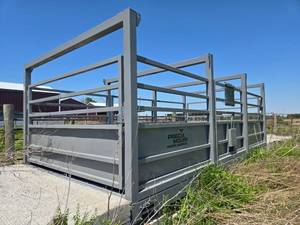 lot 10373 image: Precia Molen Industrial Livestock Scale System