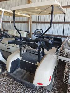 lot 10375 image: EZGO Electric Golf Cart with Canopy and Storage Basket