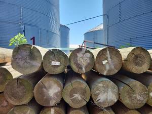 lot 10385 image: Treated Wood Posts and Lumber Bundle - Lot of 10