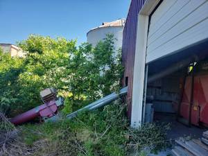 lot 18789 image: Grain Elevator Conveyor System with Motor