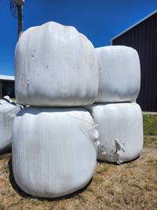 lot 50155 image: Wrapped Silage Bales - Set of 4
