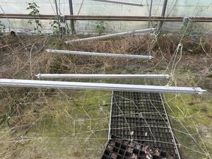 lot 50371 image: 4 110v LED grow lights