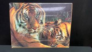 lot 5414 image: Tiger Pair Wildlife Art Print Poster