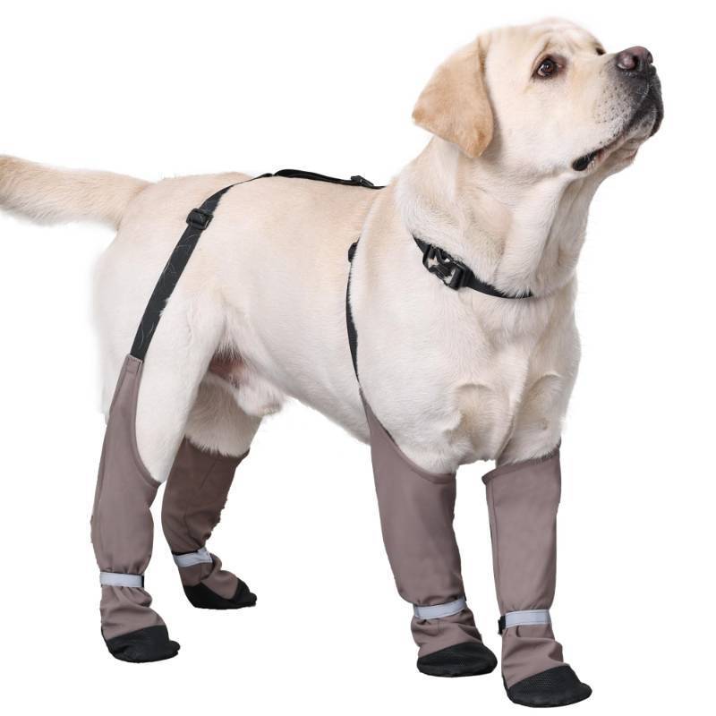lot 62329 image: Dog Suspender Boots, Warm Dog Paw Protectors, Waterproof Doggy Booties for Winter, Anti-Slip Reflective Pet Shoes Snow Boots for Outdoor Walking,Hiking, Sandy, Muddy (MediumLarge for Short Legs) - Retail $36