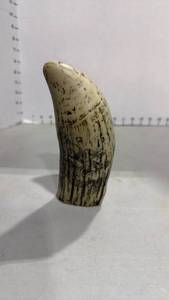 lot 1003 image: Resin Faux scrimshaw Whale Tooth 6 inches tall