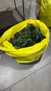 lot 2047 image: Sack of greenery holiday decor