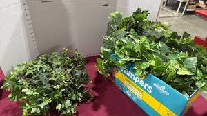 lot 2133 image: Box of greenery and pix